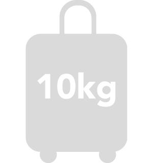 suitcase weight