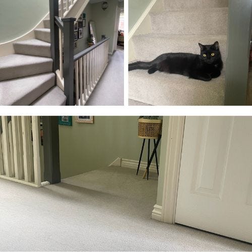 carpet customer