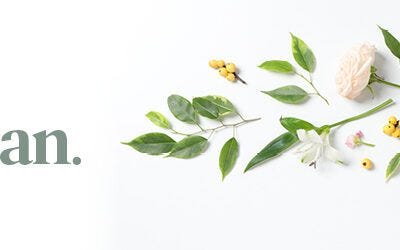 Spring cleaning tips