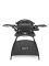 Weber Q 2000 Gas BBQ with Stand, Black