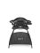 Weber Q 2000 Gas BBQ with Stand, Black