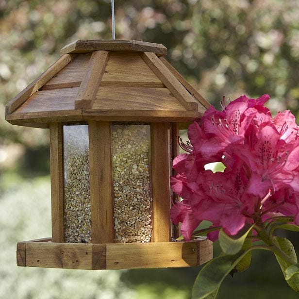Tom Chambers Chartwell Seed Feeder