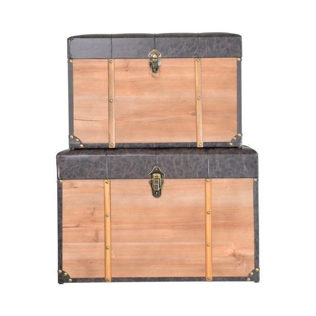 Casa Cushioned Storage Trunk, Large, Brown