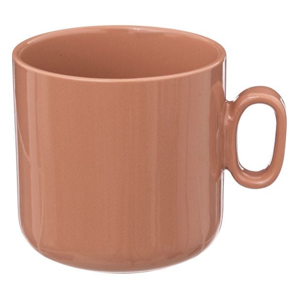 Secret De Gourmet Maya Mug