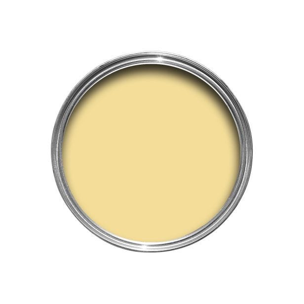 Farrow & Ball Emulsion Tester, 100ml, Dayroom Yellow