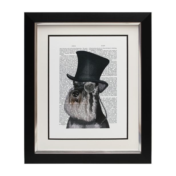 Complete Colour Schnauzer, Framed Picture