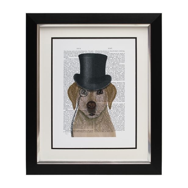 Complete Colour Golden Labrador, Framed Picture