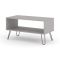 Casa Alden Open Shelf Coffee Table, Grey