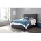 Casa Aster Double Ottoman Bed Frame, Pendle Slate