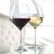 Stolzle Revolution Burgundy Glasses, Set of 6
