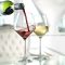 Stolzle Revolution Burgundy Glasses, Set of 6