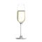 Stolzle Revolution Champagne Flutes, Set of 6