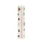 Smart Garden Traditional Advent Candle