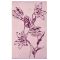Ted Baker Tulip Bath Sheet, Dusky Rose