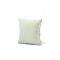 Extreme Lounging B-cushion Pastel Green 43x43