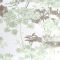 Superfresco Meadow Floral Wallpaper, Green