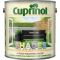 Cuprinol Garden Shades Wood Paint, 2.5L, Black Ash