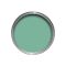 Farrow & Ball Emulsion Tester, 100ml, Arsenic