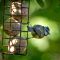 Peckish Secret Garden Ball Feeder