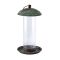 Peckish Secret Garden Nyjer Feeder