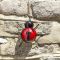 Smart Garden Decorative Ladybird, Large, Red