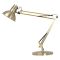 Casa Large Dulwich Task Lamp, Gold