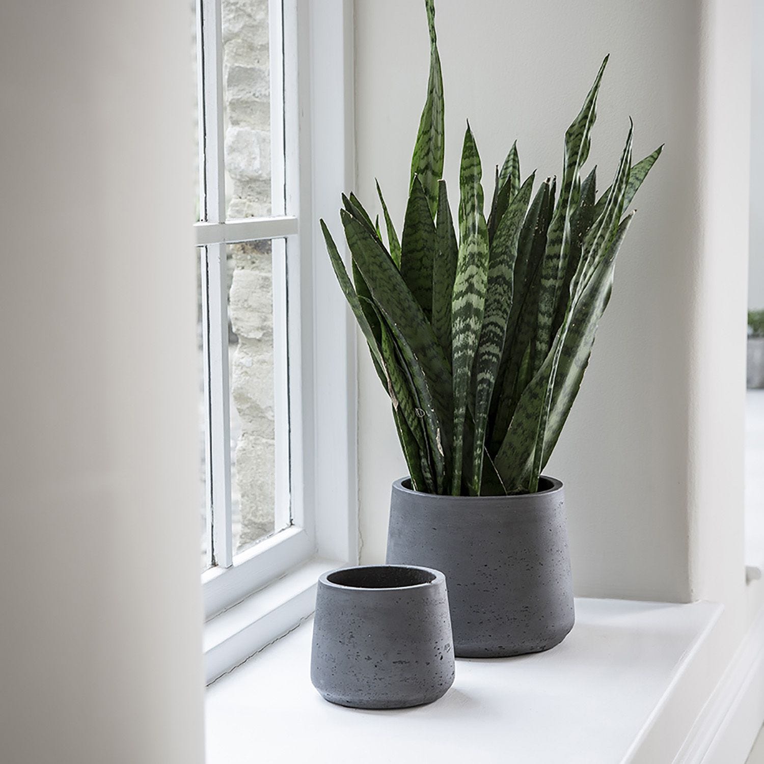Plant pot deals set
