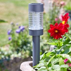 Smart Garden Martini 365 Solar Stake Light