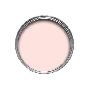 Farrow & Ball Emulsion Tester, 100ml, Middleton Pink