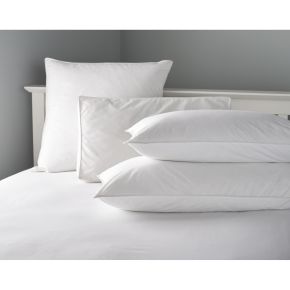 Casa Microfibre Pillow Pair