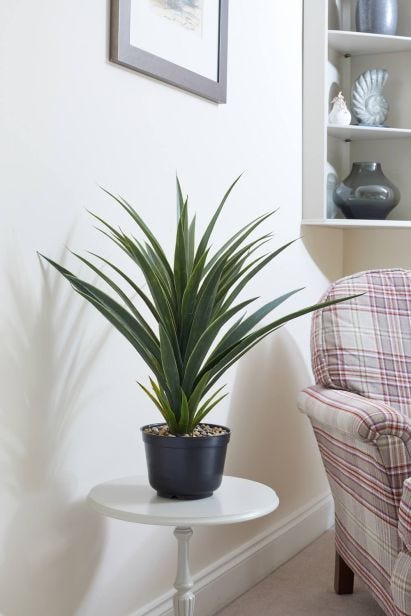 Smart Garden Spiky Sisal, 62cm, Green
