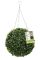 Smart Garden Boxwood Topiary Ball, 30cm, Green