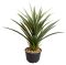 Smart Garden Spiky Sisal, 62cm, Green